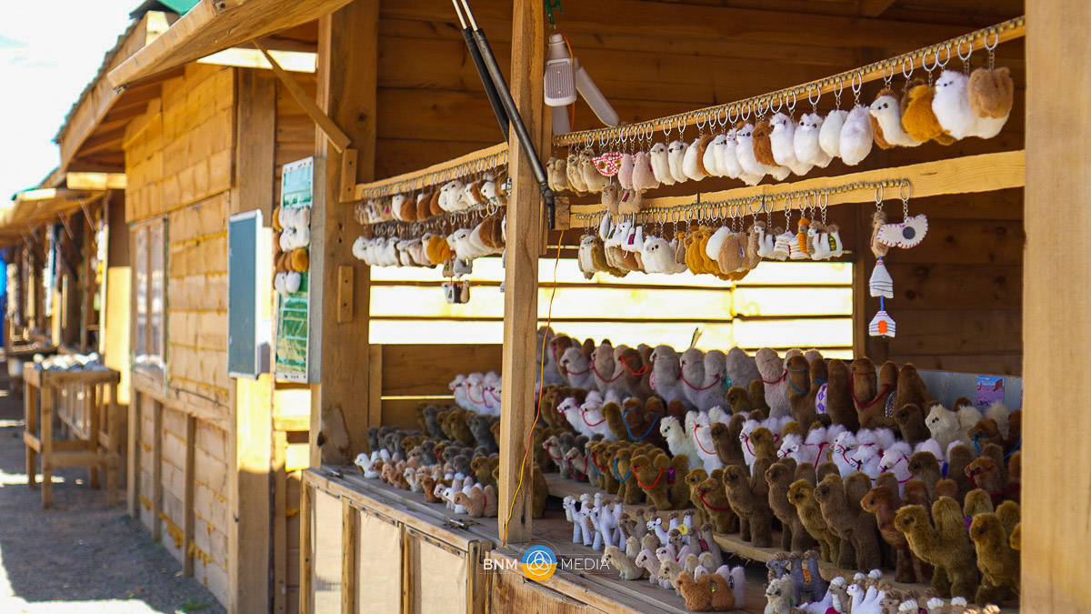 Souvenir Shop 5